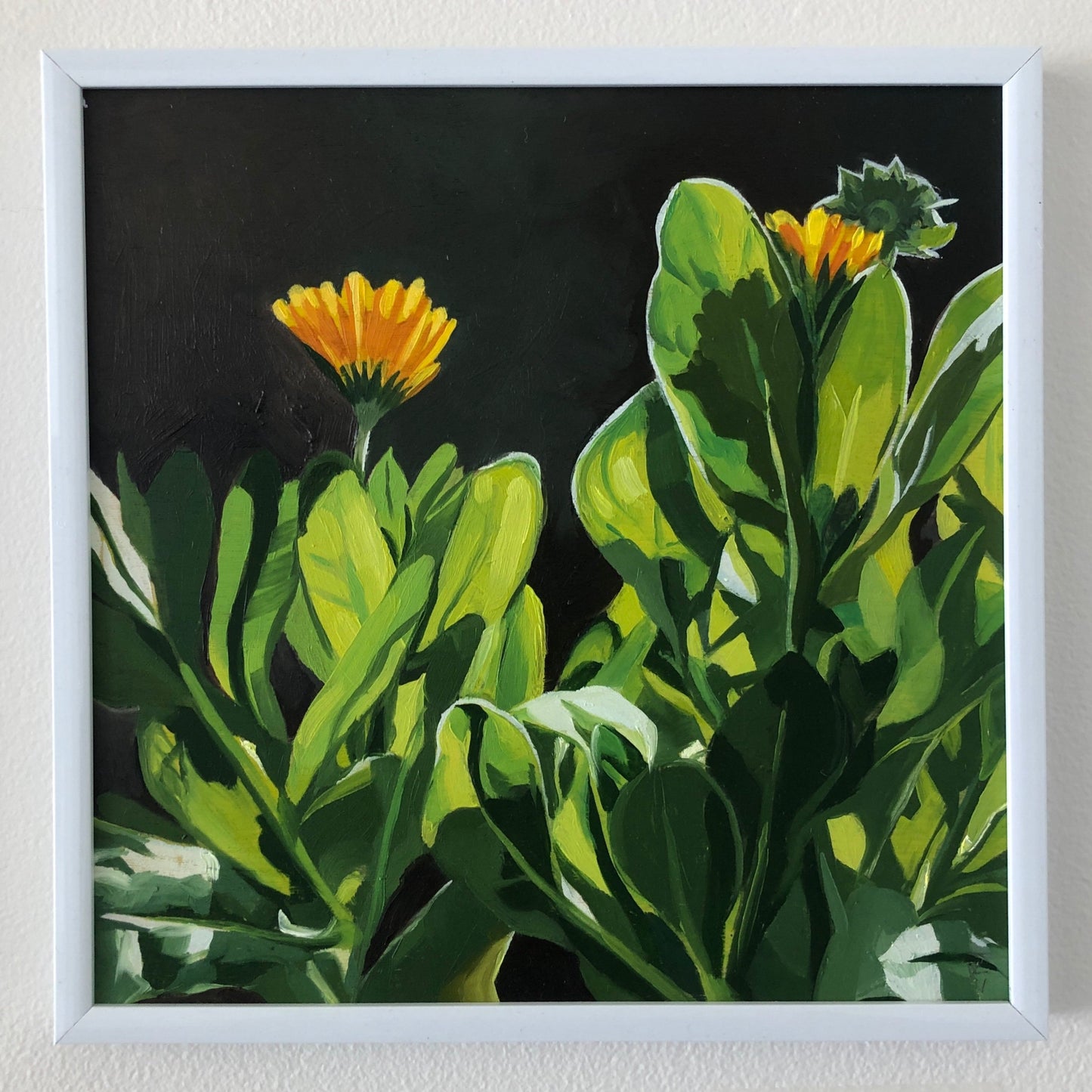Pot Marigold - Original Art