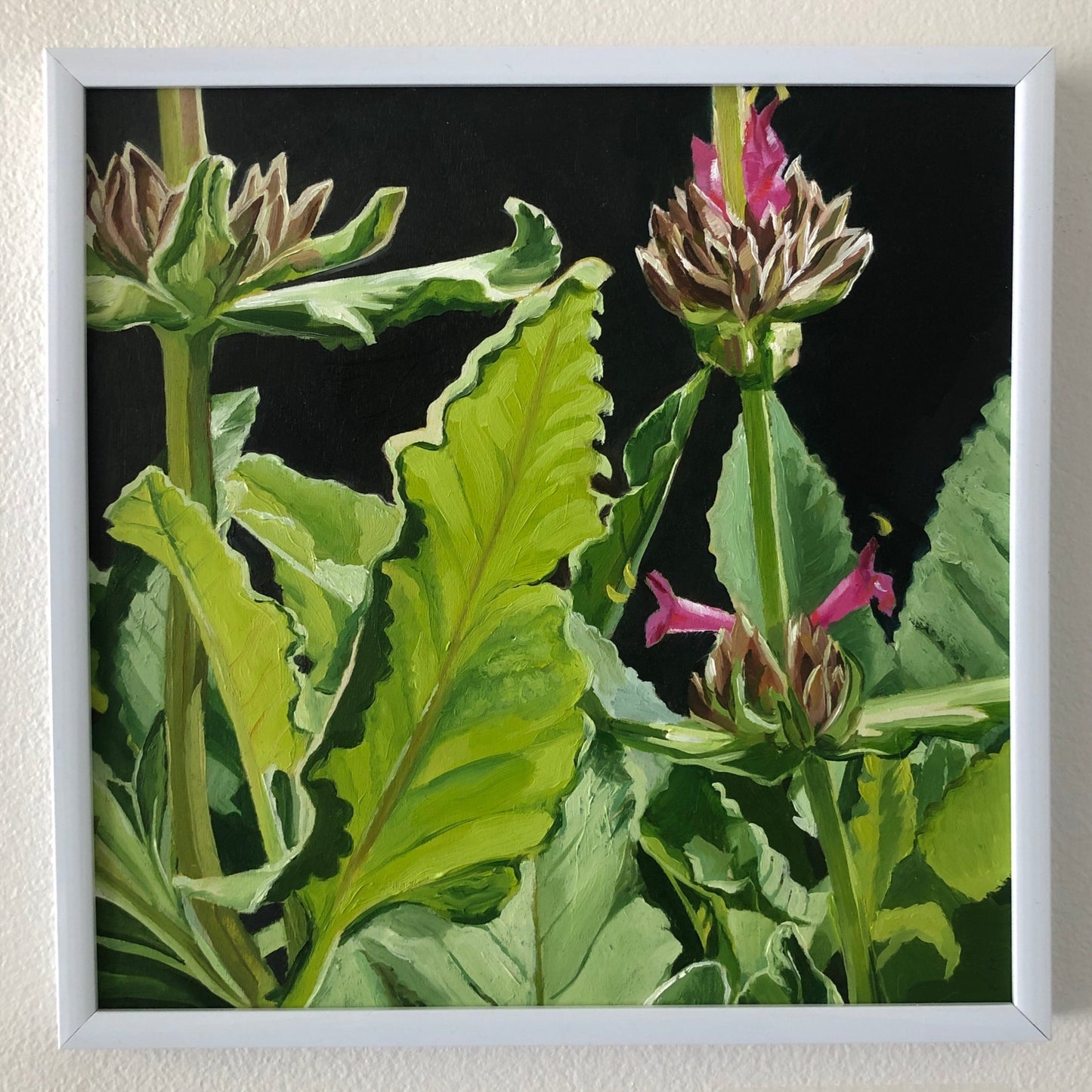 Hummingbird Sage - Original Art
