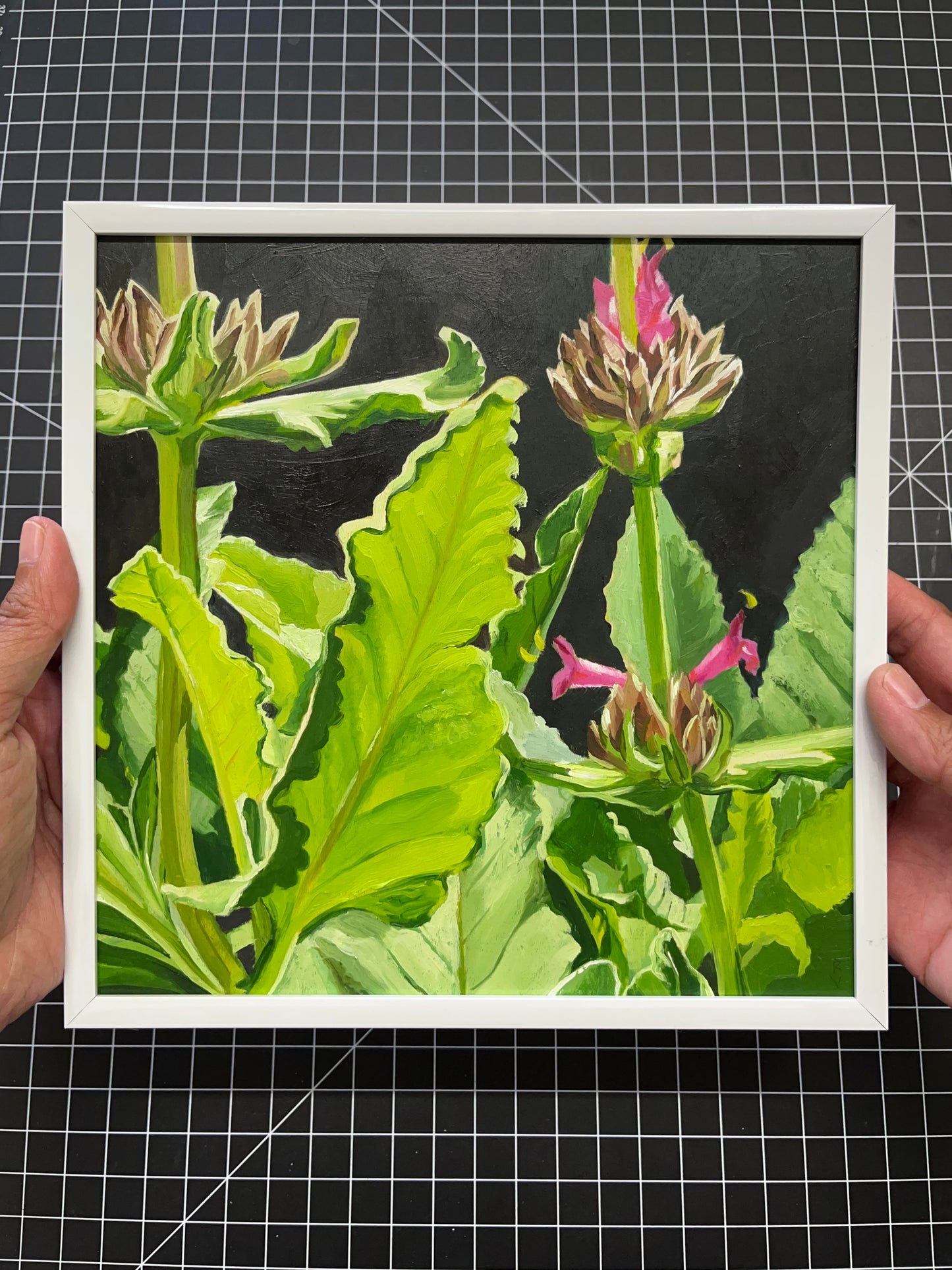 Hummingbird Sage - Original Art