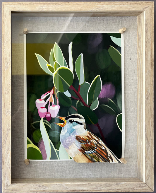 White-crowned Sparrow & Manzanita - Original Art
