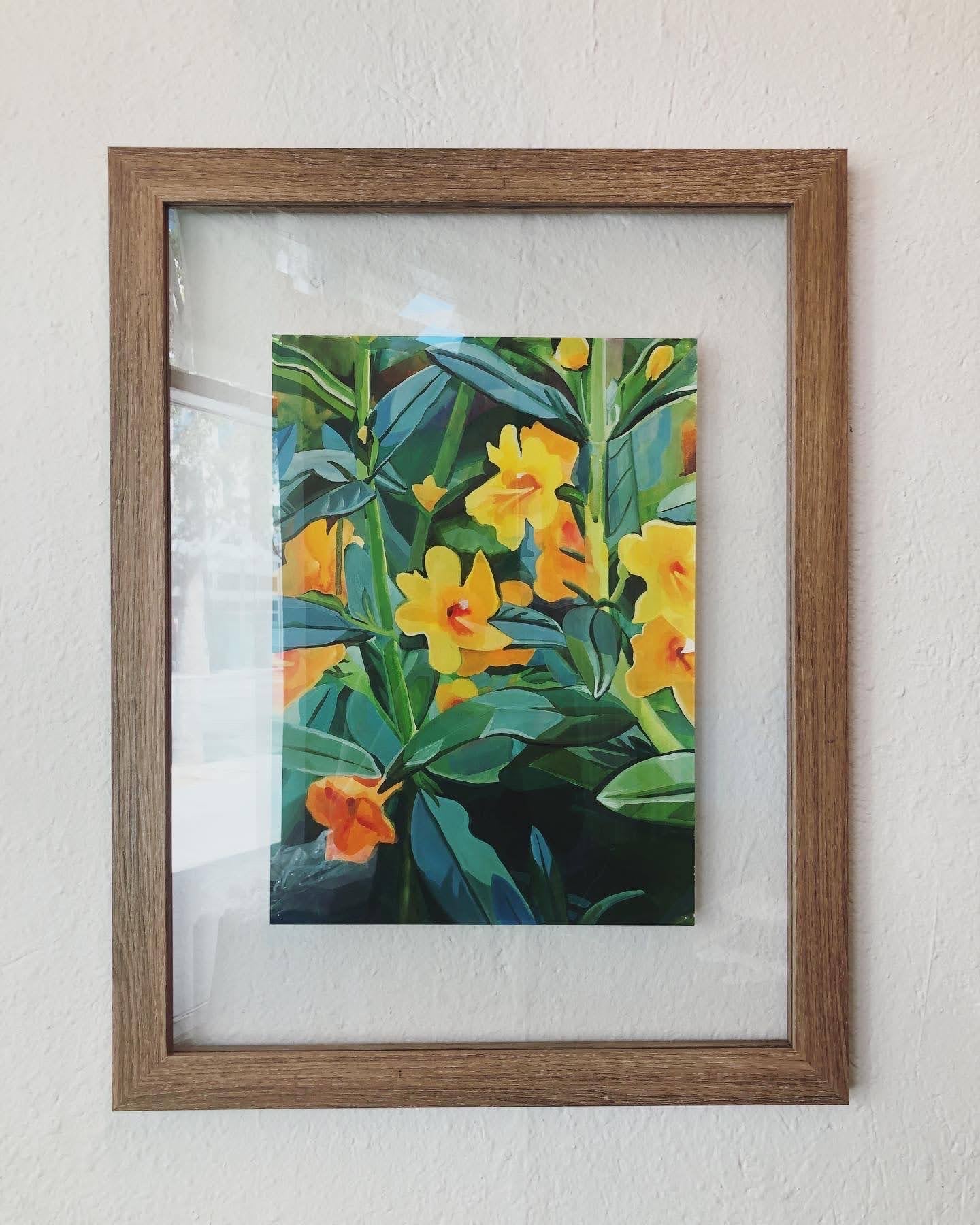Diplacus aurantiacus - Original Art